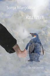KALTZEIT - Ein Klimaroman