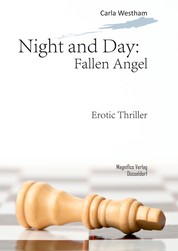 Night and Day: Fallen Angel - Volume 1