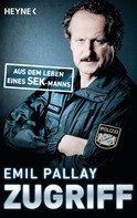 Emil Pallay: Zugriff ★★★★