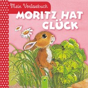 Moritz hat Glück - Mein Vorlesebuch. Durchgehende Geschichte für Kinder ab 2 Jahren
