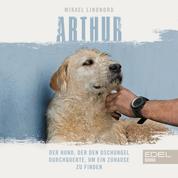 Arthur - Der Hund, der den Dschungel durchquerte, um ein Zuhause zu finden