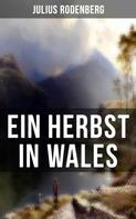 Julius Rodenberg: Ein Herbst in Wales 
