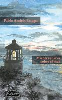 Pablo Andrés Escapa: Mientras nieva sobre el mar 