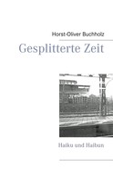 Horst-Oliver Buchholz: Gesplitterte Zeit 