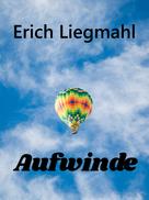 Erich Liegmahl: Aufwinde 