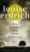 Louise Erdrich: Die Wunder von Little No Horse ★★★★★
