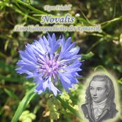 Novalis - Eine Kulturgeschichte der Romantik