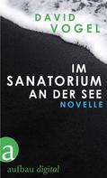 David Vogel: Im Sanatorium / An der See 