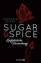Sugar & Spice - Gefährliche Versuchung - Roman