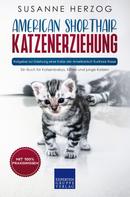Susanne Herzog: American Shorthair Katzenerziehung - Ratgeber zur Erziehung einer Katze der Amerikanisch Kurzhaar Rasse 