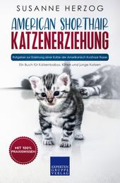 American Shorthair Katzenerziehung - Ratgeber zur Erziehung einer Katze der Amerikanisch Kurzhaar Rasse - Ein Buch für Katzenbabys, Kitten und junge Katzen