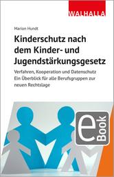 Kinderschutz nach dem Kinder- und Jugendstärkungsgesetz - Verfahren, Kooperation und Datenschutz; Ein Überblick für alle Berufsgruppen zur neuen Rechtslage