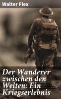 Walter Flex: Der Wanderer zwischen den Welten: Ein Kriegserlebnis 