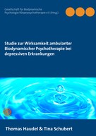 Thomas Haudel: Studie zur Wirksamkeit ambulanter Biodynamischer Psychotherapie bei depressiven Erkrankungen 