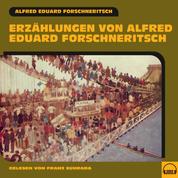 Erzählungen von Alfred Eduard Forschneritsch