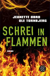 Schrei in Flammen - Kriminalroman