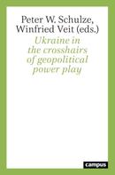 Winfried Veit: Ukraine in the crosshairs of geopolitical power play 