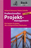 Roland Ottmann: Professionelles Projektmanagement ★★★★