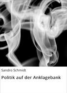 Sandro Schmidt: Politik auf der Anklagebank 