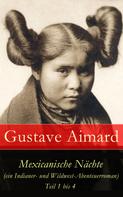 Gustave Aimard: Mexicanische Nächte (ein Indianer- und Wildwest-Abenteuerroman) - Teil 1 bis 4 