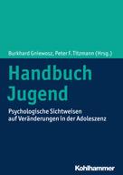 Burkhard Gniewosz: Handbuch Jugend 
