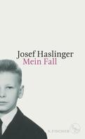 Josef Haslinger: Mein Fall ★★★★★