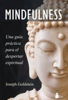 Joseph Goldstein: Mindfulness 