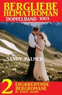 Sandy Palmer: Bergliebe Heimatroman Doppelband 1003 