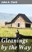 John A. Clark: Gleanings by the Way 