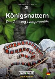 Königsnattern - Die Gattung Lampropeltis