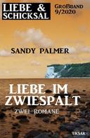 Sandy Palmer: Liebe im Zwiespalt: Liebe & Schicksal Großband 9/2020 