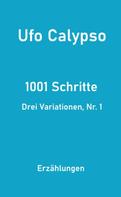 Ufo Calypso: 1001 Schritte - Drei Variationen, Nr. 1 