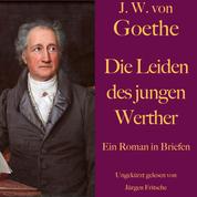 Johann Wolfgang von Goethe: Die Leiden des jungen Werther - Ein Roman in Briefen. Ungekürzt gelesen.