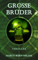 Grosse Brüder - Thriller (3. Auflage)