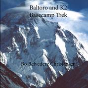 Baltoro and K2 Basecamp Trek - Via Gondogora La