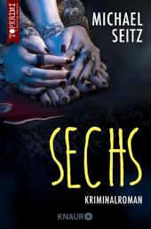 Sechs - Kriminalroman