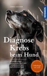 Diagnose Krebs beim Hund - Behandlungsmöglichkeiten aus Tiermedizin und Naturheilkunde