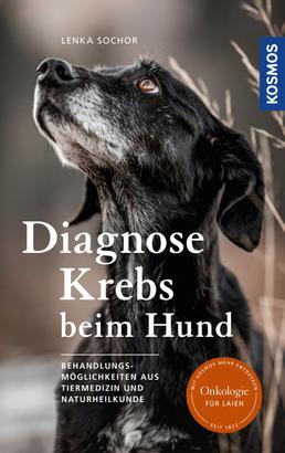 Diagnose Krebs beim Hund