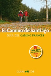 El Camino de Santiago. Etapa 3. De Larrasoaña a Pamplona (Iruña) - Guía del Camino Francés. 2014