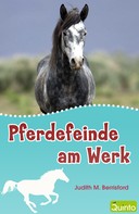 Judith M. Berrisford: Pferdefeinde am Werk ★★★★