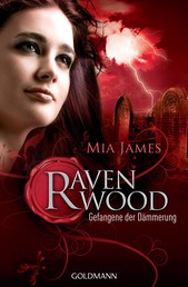 Gefangene der Dämmerung - Ravenwood 2 - Roman