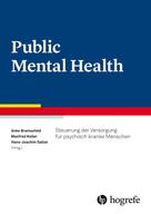 Anke Bramesfeld: Public Mental Health 