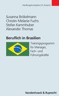 Alexander Thomas: Beruflich in Brasilien 