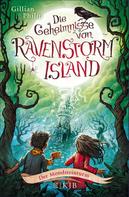 Gillian Philip: Die Geheimnisse von Ravenstorm Island – Der Mondsteinturm ★★★★★