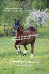 Koppelgeschichten - von und mit Pferd; Calimeros Geschichte - Calimero erzählt