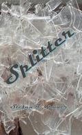 Stefan T. Gruner: Splitter 