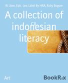 Ri Liton: A collection of indonesian literacy 