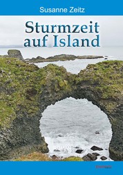 Sturmzeit auf Island - Roman