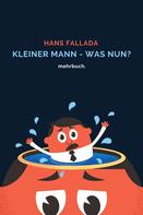 Hans Fallada: Kleiner Mann - was nun? mehrbuch-Weltliteratur 