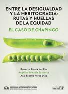 Angélica Buendía Espinosa: Entre la desigualdad y la meritocracia: rutas y huellas de la equidad 